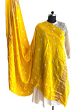 Modal silk traditional bandhani dupatta - Aesthetics Designer Label